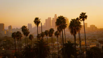 a group of palm trees with a city in the background
